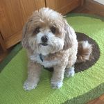 Jeanne Sternbergh - @jeannesternbergh - Instagram