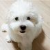 Jeanne Stratton - Facebook