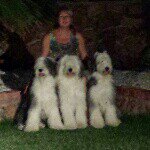 jeanne - @tuttlejeanne - Instagram