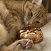 Jeanne Weimer - Facebook