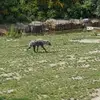jeanne.wille - @jeanne.wille - TikTok