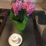 Jeanne Willis - @jeannewillis5 - Instagram