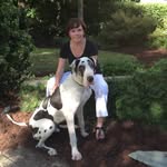 Jeanne Willis Fitzsimmons - @jeannewillisfitzsimmons - Instagram