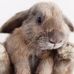Jeannette Bower - Facebook