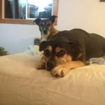 Jeannette Evans - @jeannette.evans.5 - Instagram