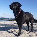 Jeannette Hoffmann - @schenni_1973 - Instagram