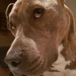 Jeannette Hoffmann - @jeannet.hoffmann - Instagram