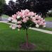 Jeanette Mann - Facebook