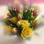 Jeannette Meier - @jeannettemeier4 - Instagram