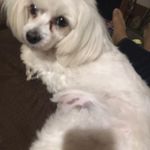 Jeannette Singleton - @jeannettesingleton6 - Instagram