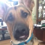 Jeanne Burrows-Peebles - @burrowspeebles - Instagram