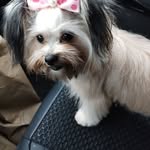 Jeannie Cunningham Reed - @jeannie92575 - Instagram