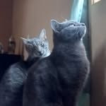 Jeanne Everett Robinson - @wtficit2 - Instagram