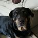 Jeannie Ferrell - Facebook