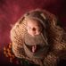 Jeannie Gilbert - Facebook