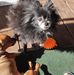 Jeannie Goff - Facebook