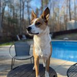 Jeannie Holmes - @scooterh556 - Instagram