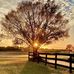 Jeannie Sutton - Facebook