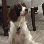 Jeanne Tuttle - @jeannectut - Instagram