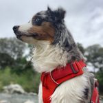 Jeanne Tuttle - @_p_parker - Instagram