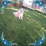 Jeannie Wallace - @jeanniewallace4 - Instagram