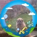 Jeannie Wallace - @jeanniewallace33 - Instagram