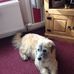 Jeannie Wallace - Facebook