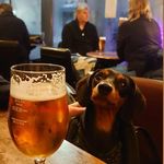 Sean, Jeannine and Bailey - @eightlegstwopints - Instagram