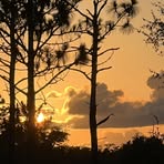 Jeannine Daniel - Facebook