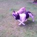 Jeanne Everett - Facebook