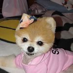 Jeannine Self - @selfjeannine - Instagram