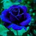 Jeanine Simon - Facebook