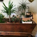 Jeannine - @jeannine.simon57 - Instagram