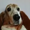 jeanninesimon822 - @jeanninesimon822 - TikTok