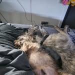 Jeannine Wright - @jeannine.wright - Instagram