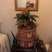 Jearlene Walker - Facebook