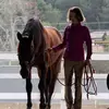 Jec A. Ballou - @jecballou_equinefitness - TikTok