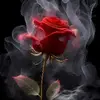 JeCoby Bates - @jecoby.bates - TikTok