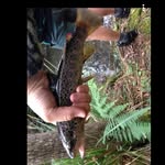 Jed Bailey Joe Fishing - @jed_bailey_joe_ - Instagram
