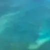 Jed baker - @jed.bakerrr - TikTok