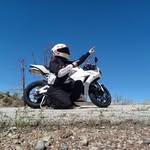 Colman JS - @jed_bean - Instagram