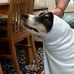 Jed Bean Munar - Facebook