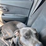 Jed Branch - Facebook