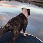 jed cook - @jed_cook5 - Instagram