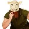 Jed Cook - @jedcookie8 - TikTok
