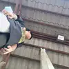Jed David - @jed.david6 - TikTok