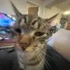 j.dgore - @j.dgore - TikTok