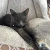 Jdehahn - @johndehahn1 - TikTok