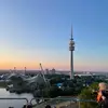 Jed Howard - @jed.howard - TikTok