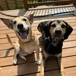 Jed & Kane - @jedandkane - Instagram